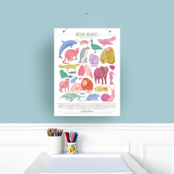 Affiche QuiQueQuoi Mœurs animales - 30x40 cm