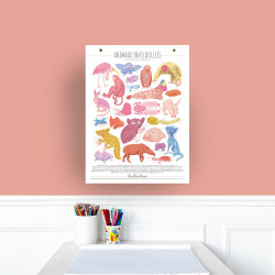 Affiche QuiQueQuoi Animaux invisibilisés - 30x40 cm