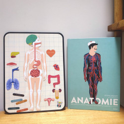 Magnet made in France - Fabrikanatomie