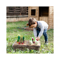 Plateau potager et 16 légumes en laine feutrée