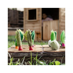 Plateau potager et 16 légumes en laine feutrée