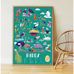 Poster pédagogique géant et stickers - Oiseaux