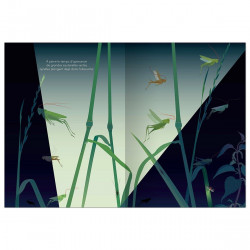 Une nuit au jardin, d'Anne Crausaz
