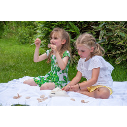 Set de 36 éléments en bois - Jeu de tri et d'associations