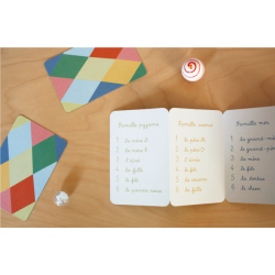 Le Jeu de 7 familles inclusif - Sayululu