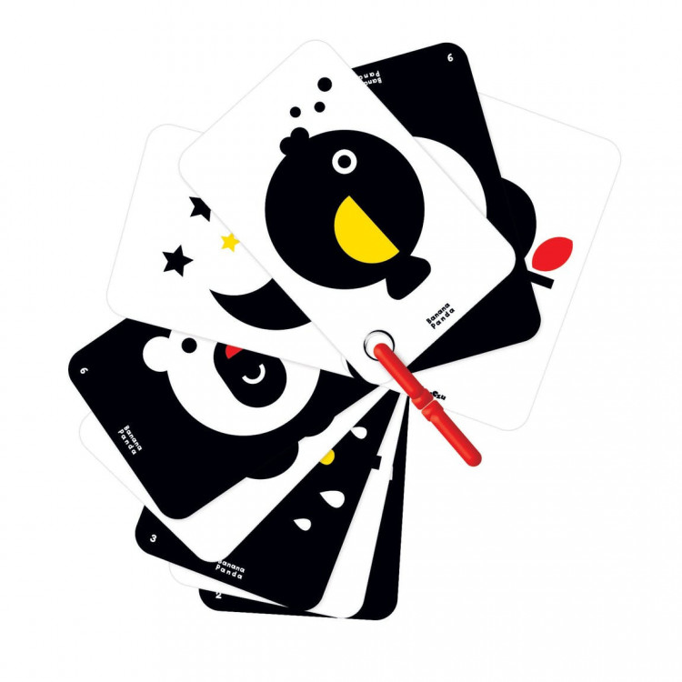 Cartes à contraste avec anneau Cartes à contraste avec anneau