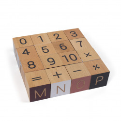 16 Cubes d'apprentissage en bois