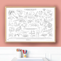 Coloriage géant - Animaux Invisibilisés